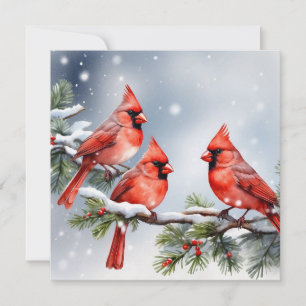 Cardinaux dans la carte de vacances de neige plat