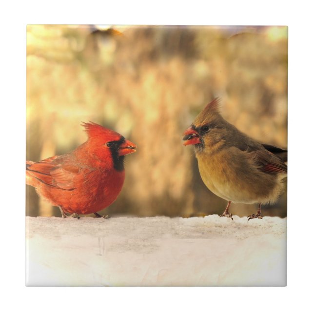 Cardinaux dans le carreau de céramique d'automne (Devant)
