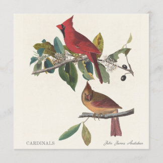 Cardinaux de John James Audubon