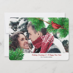 Cardinaux d'hiver Carte de vacances photo