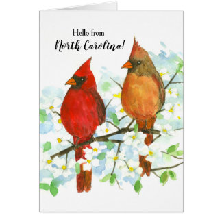 Cardinaux du Nord Bonjour de Caroline du Nord Blan
