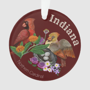 Cardinaux du Nord de l'Indiana