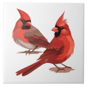 Cardinaux rouges perchés sur carreau de céramique