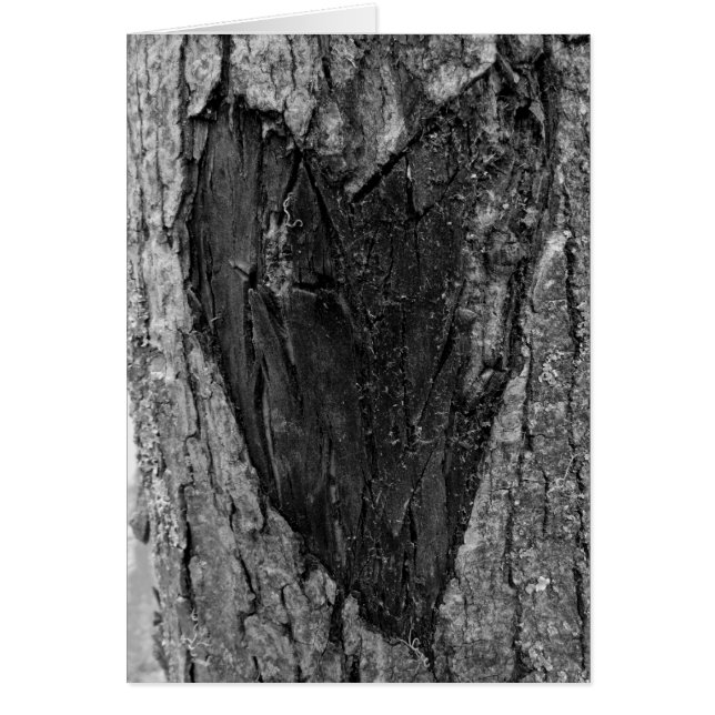 Cardiologie des arbres (Devant)