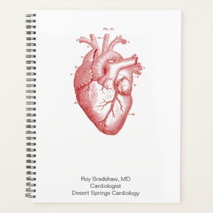 Cardiologue Ou Docteur Médicale