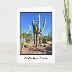 Carefree Desert Gardens Carte de voeux vierge