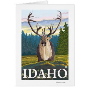 Caribou dans le sauvage - l'Idaho