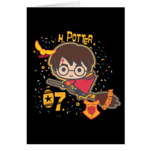 Caricature Harry Potter Quidditch Chercher