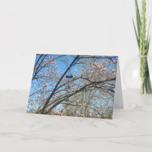 Carillons éoliens et carte d'anniversaire Magnolia