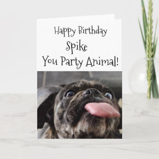 Carlin animal fête Anniversaire Carte personnalisa