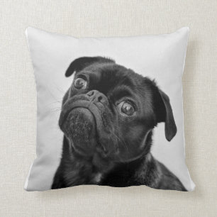Carlin chien mignon coussin