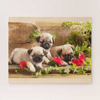 Carlin chiots parmi les puzzle de fleurs
