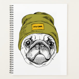 Carlin Hipster C'est Cool