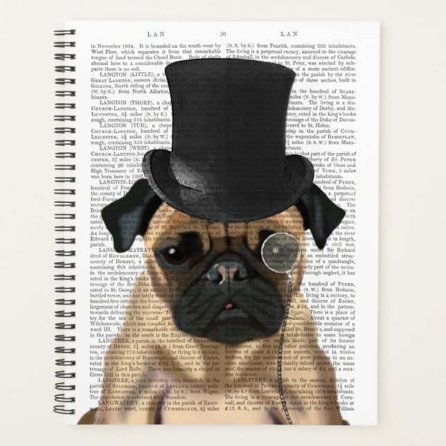 Carlin, Hound officiel et Casquette (Devant)