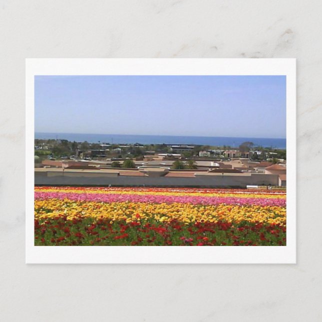 Carlsbad Flower Fiers Carte postale (Devant)