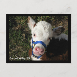 Carmel Valley, CA Carte postale