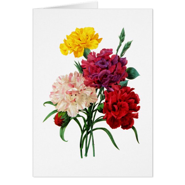 Carnation et Marigold Bouquet par Redoute (Devant)