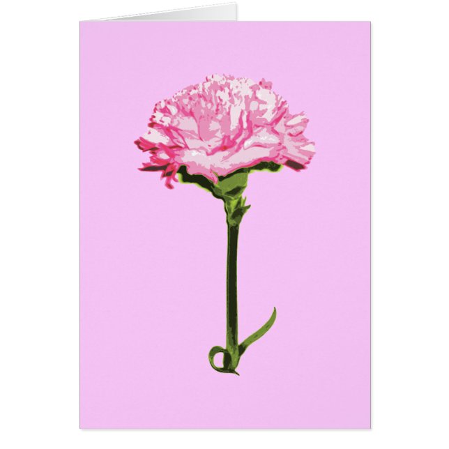 Carnation rose (Devant)