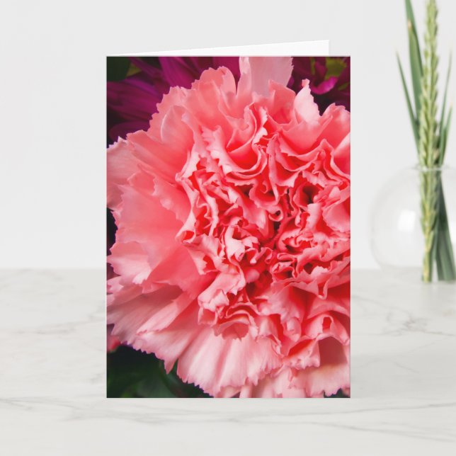 "Carnation rose 1." Carte de vœux (Devant)