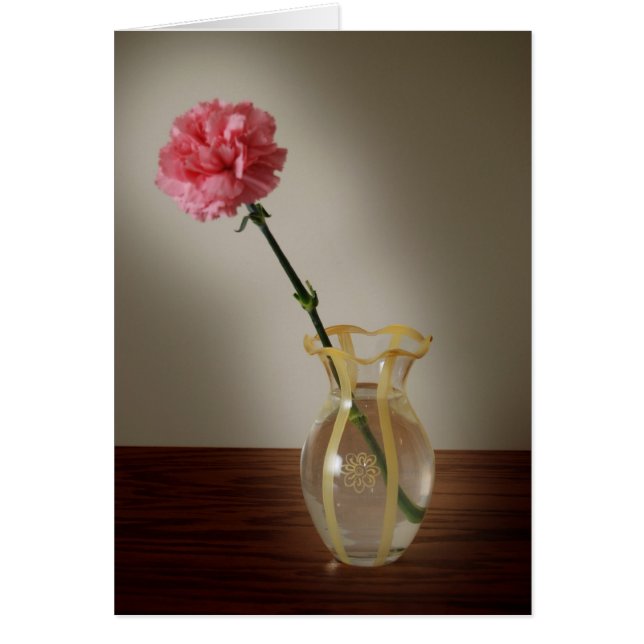 Carnation rose dans le vase de verre (Devant)