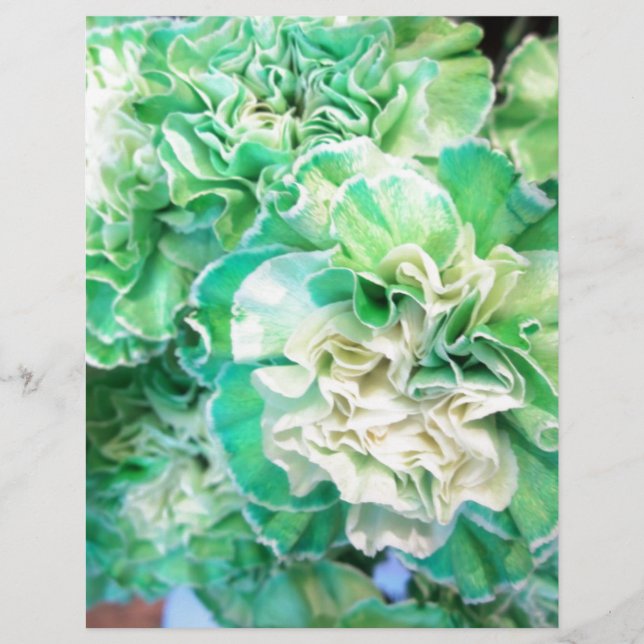 Carnation verte (Devant)