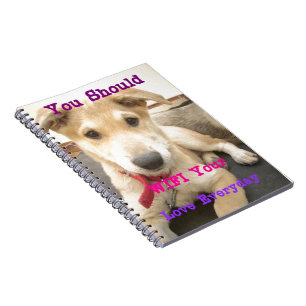 Carnet