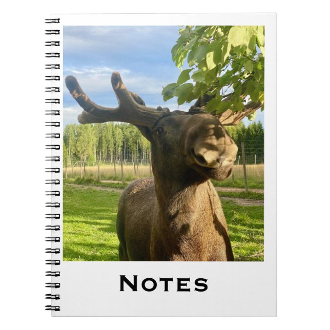 carnet (Devant)