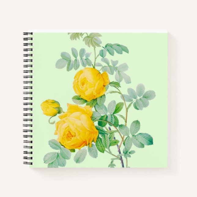 CARNET (Devant)