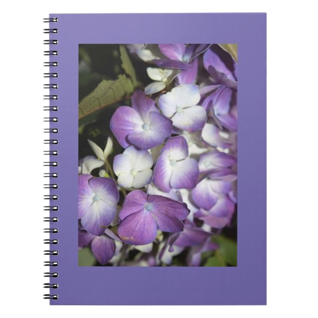 Carnet (Devant)
