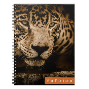 CARNET 