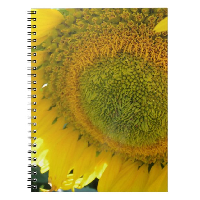 CARNET 057.JPG (Devant)