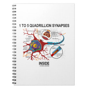Carnet 1 To 5 Quadrillion Synapses