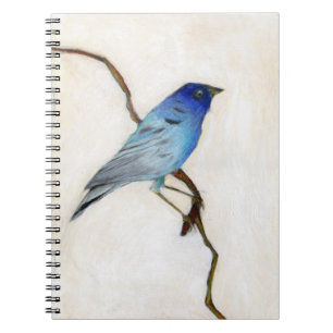Carnet 2012 peu bleu