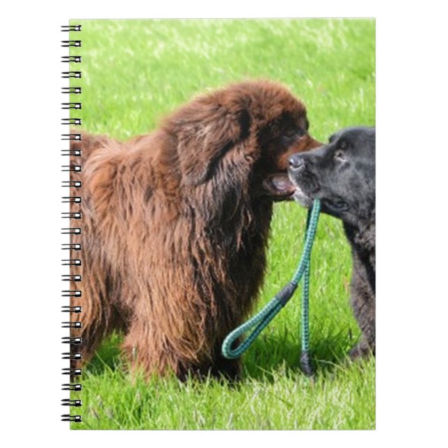 Carnet 2 newfies.png (Devant)
