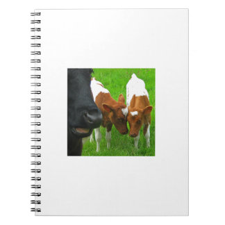 Carnet 2 veaux