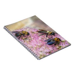 Carnet 3 bourdons