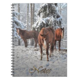 Carnet 3 Chestnut Dun Ranch Horaires dans une forêt d'hiv