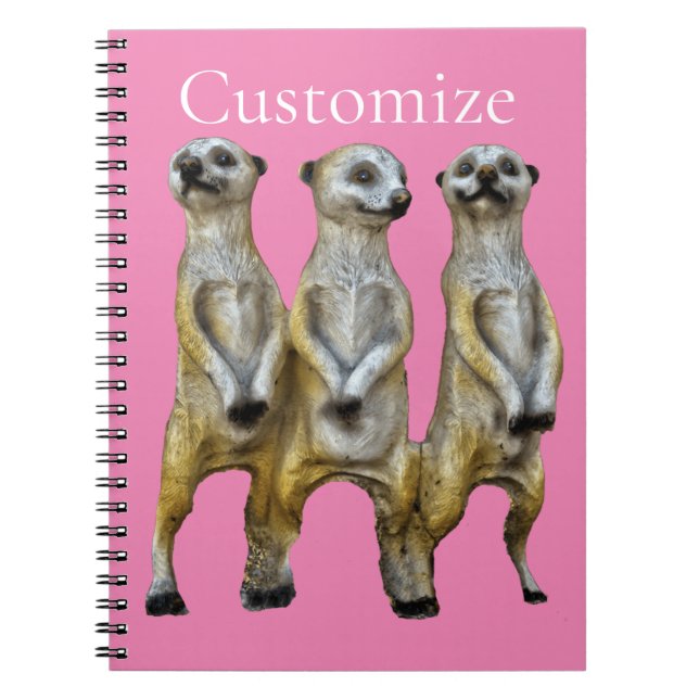 Carnet 3 Meerkats debats Thunder_Cove (Devant)