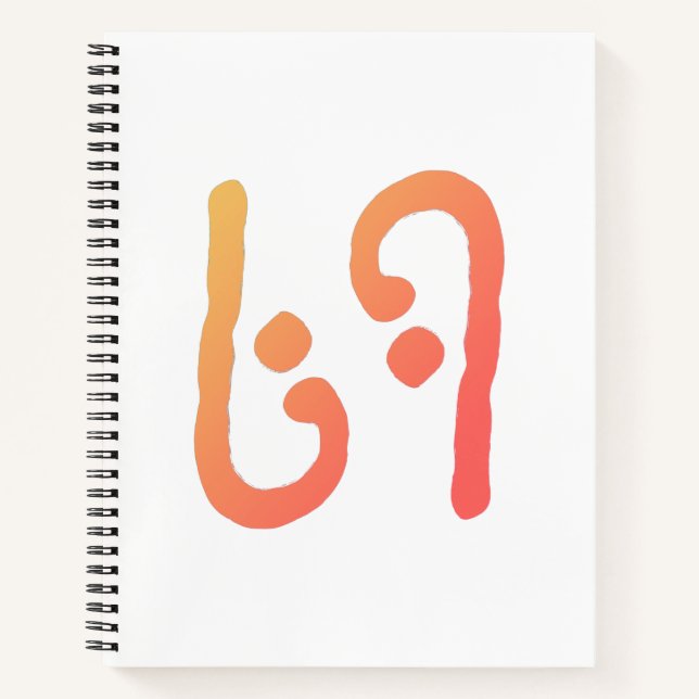 CARNET 69 (Devant)