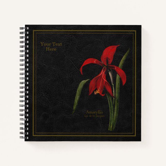 Carnet 8,5x8,5" Amaryllis ou Lis de St Jacques Noir (Devant)