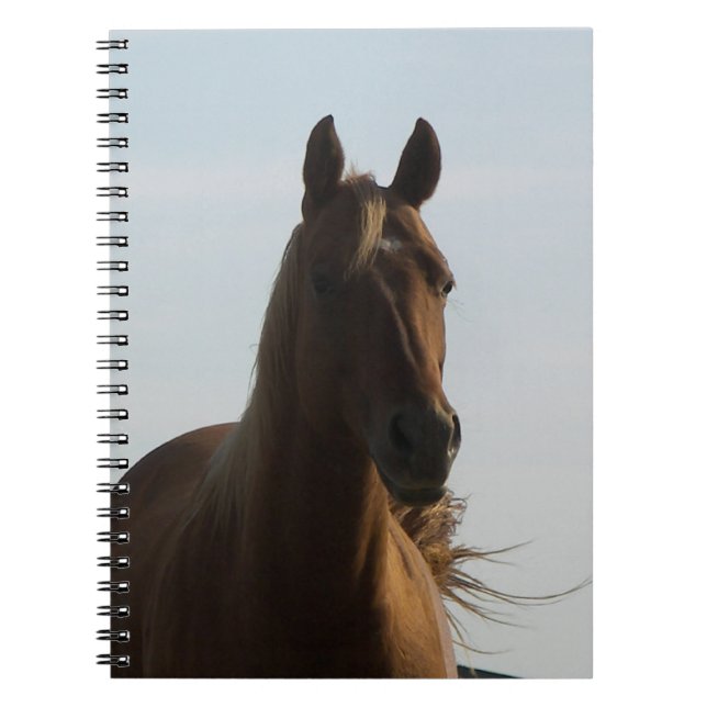 Carnet à cheval (Devant)