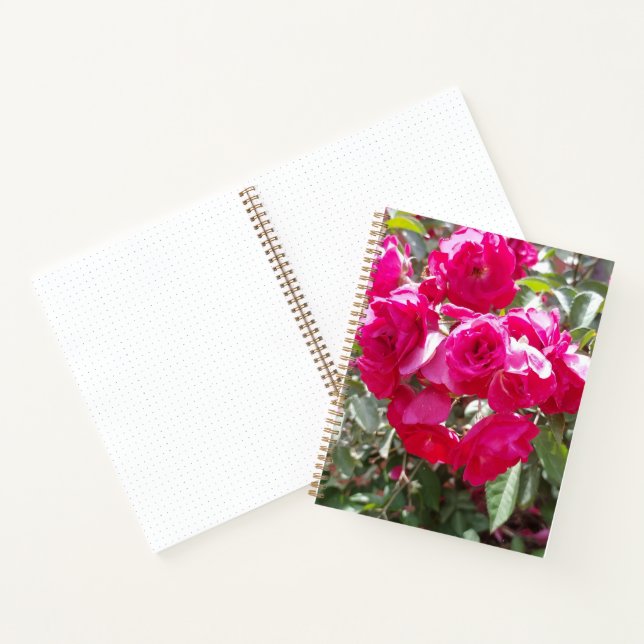 Carnet à Feuilles Mobiles Roses Glamour (Intérieur)