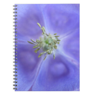 Carnet à fleurs Aquilegia