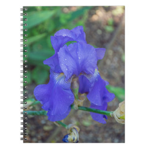 Carnet à fleurs d'iris bleu
