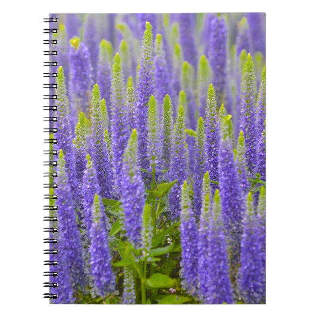Carnet à fleurs violettes (Devant)