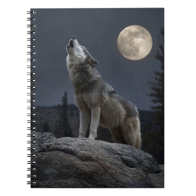 Carnet A Howling Wolf (Devant)