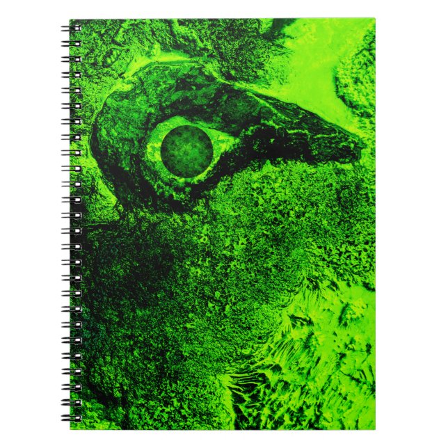 Carnet à la recherche de vert (Devant)