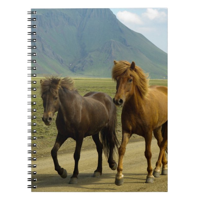 Carnet A Pair of Brown Icelandic Ponies (Devant)