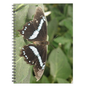 Carnet à papillons tropicaux noir et blanc
