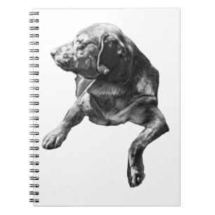 Carnet à poches, Labrador